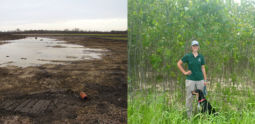 Restored-Pelee-Island-By-NCC